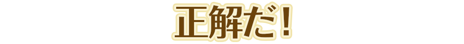 正解だ！