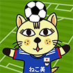 2014年6月サッカーW杯ねこ代表