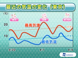 サエコの観天望気コーナー画像