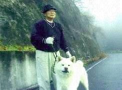 秋田犬
