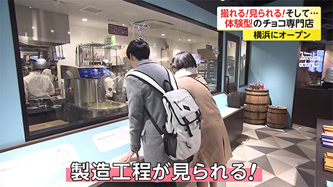 スタッフのひとりごと