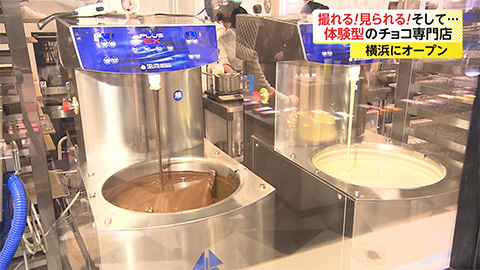 スタッフのひとりごと