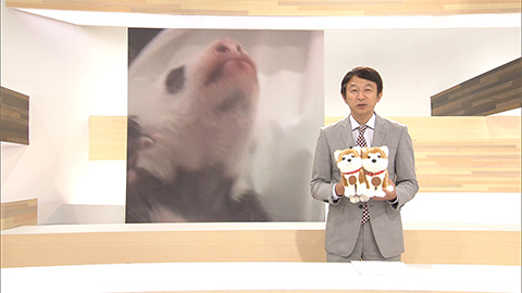 スタッフのひとりごと
