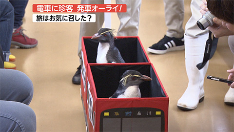 スタッフのひとりごと