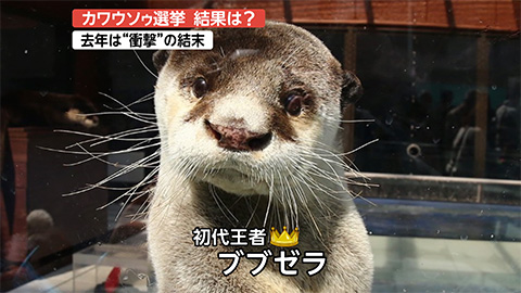 スタッフのひとりごと