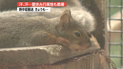 スタッフのひとりごと