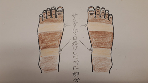 スタッフのひとりごと