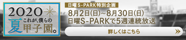 2020夏 これが、僕らの甲子園。