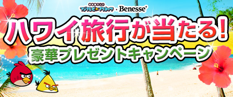 ハワイ旅行が当たる！豪華プレゼントキャンペーン