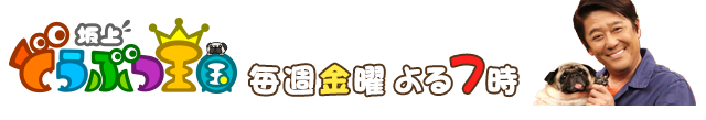 坂上どうぶつ王国 毎週金曜よる7時