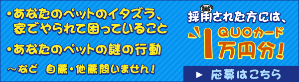 ・あなたのペットのイタズラ、家でやられて困っていること・動物にまつわるちょっといい話・動物にまつわるちょっといい話 〜など　自薦・他薦問いません！採用された方には、ＱＵＯカード1万円分！応募はこちら