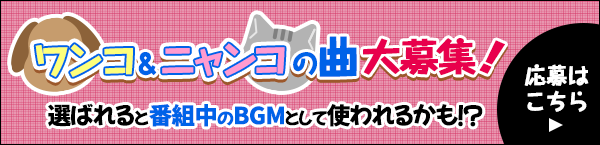 ワンコ＆ニャンコの曲大募集！選ばれると番組中のBGMとして使われるかも！？ 応募はこちら