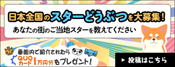 日本全国のスターどうぶつを大募集！あなたの街のご当地スターを教えてください番組内で紹介されたらQUOカード1万円文をプレゼント！ 投稿はこちら