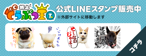 坂上どうぶつ王国　公式LINEスタンプ販売中　※外部サイトに移動します コチラ