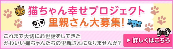 坂上どうぶつ王国 フジテレビ 坂上どうぶつ王国 フジテレビ