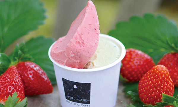 Gelato & Caffe 伊澤いちご園