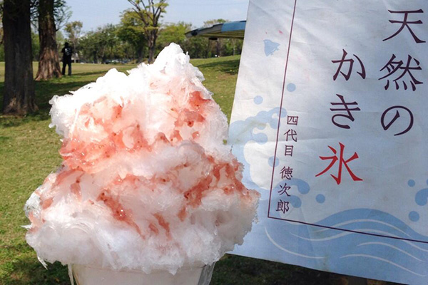 日光珈琲