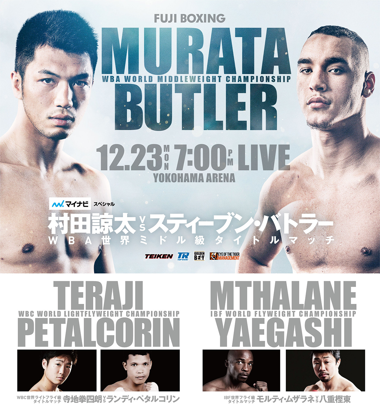WBA世界ミドル級タイトルマッチ 村田諒太vsスティーブン・バトラー