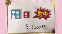 みんなのKEIBA みんなの夢馬券 橋本マナミ 馬券画像