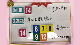 みんなのKEIBA みんなの夢馬券 ほのか 馬券画像