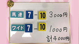 みんなのKEIBA みんなの夢馬券 井崎脩五郎 馬券画像