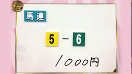 みんなのKEIBA みんなの夢馬券 井崎脩五郎 馬券画像