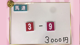 みんなのKEIBA みんなの夢馬券 井崎脩五郎 馬券画像