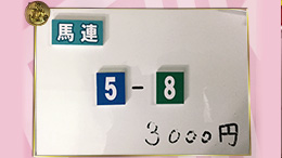 みんなのKEIBA みんなの夢馬券 井崎脩五郎 馬券画像