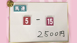 みんなのKEIBA みんなの夢馬券 井崎脩五郎 馬券画像