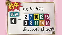 みんなのKEIBA みんなの夢馬券 細江純子 馬券画像