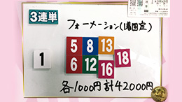 みんなのKEIBA みんなの夢馬券 安藤勝己 馬券画像