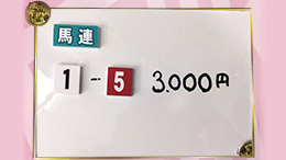 みんなのKEIBA みんなの夢馬券 井崎脩五郎 馬券画像