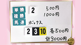 みんなのKEIBA みんなの夢馬券 井崎脩五郎 馬券画像