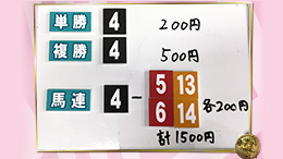 みんなのKEIBA みんなの夢馬券 井崎脩五郎 馬券画像