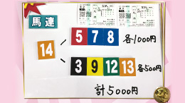 みんなのKEIBA みんなの夢馬券 細江純子 馬券画像