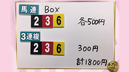 みんなのKEIBA みんなの夢馬券 井崎脩五郎 馬券画像