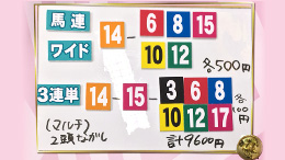 みんなのKEIBA みんなの夢馬券 細江純子 馬券画像