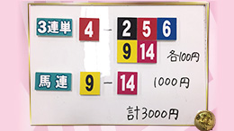 みんなのKEIBA みんなの夢馬券 高田翔 馬券画像