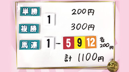 みんなのKEIBA みんなの夢馬券 井崎脩五郎 馬券画像