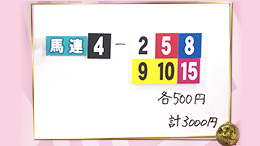 みんなのKEIBA みんなの夢馬券 井崎脩五郎 馬券画像