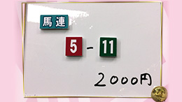 みんなのKEIBA みんなの夢馬券 井崎脩五郎 馬券画像