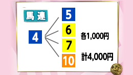 みんなのKEIBA みんなの夢馬券 細江純子 馬券画像