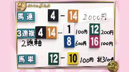 みんなのKEIBA みんなの夢馬券 井崎脩五郎 馬券画像