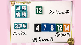 みんなのKEIBA みんなの夢馬券 細江純子 馬券画像