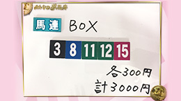 みんなのKEIBA みんなの夢馬券 細江純子 馬券画像