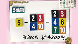 みんなのKEIBA みんなの夢馬券 橋本マナミ 馬券画像