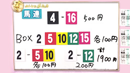 みんなのKEIBA みんなの夢馬券 井崎脩五郎 馬券画像