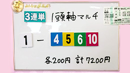 みんなのKEIBA みんなの夢馬券 渡辺舞 馬券画像