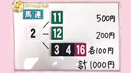 みんなのKEIBA みんなの夢馬券 井崎脩五郎 馬券画像