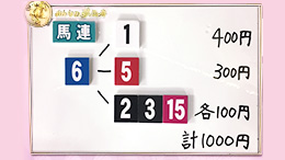 みんなのKEIBA みんなの夢馬券 井崎脩五郎 馬券画像